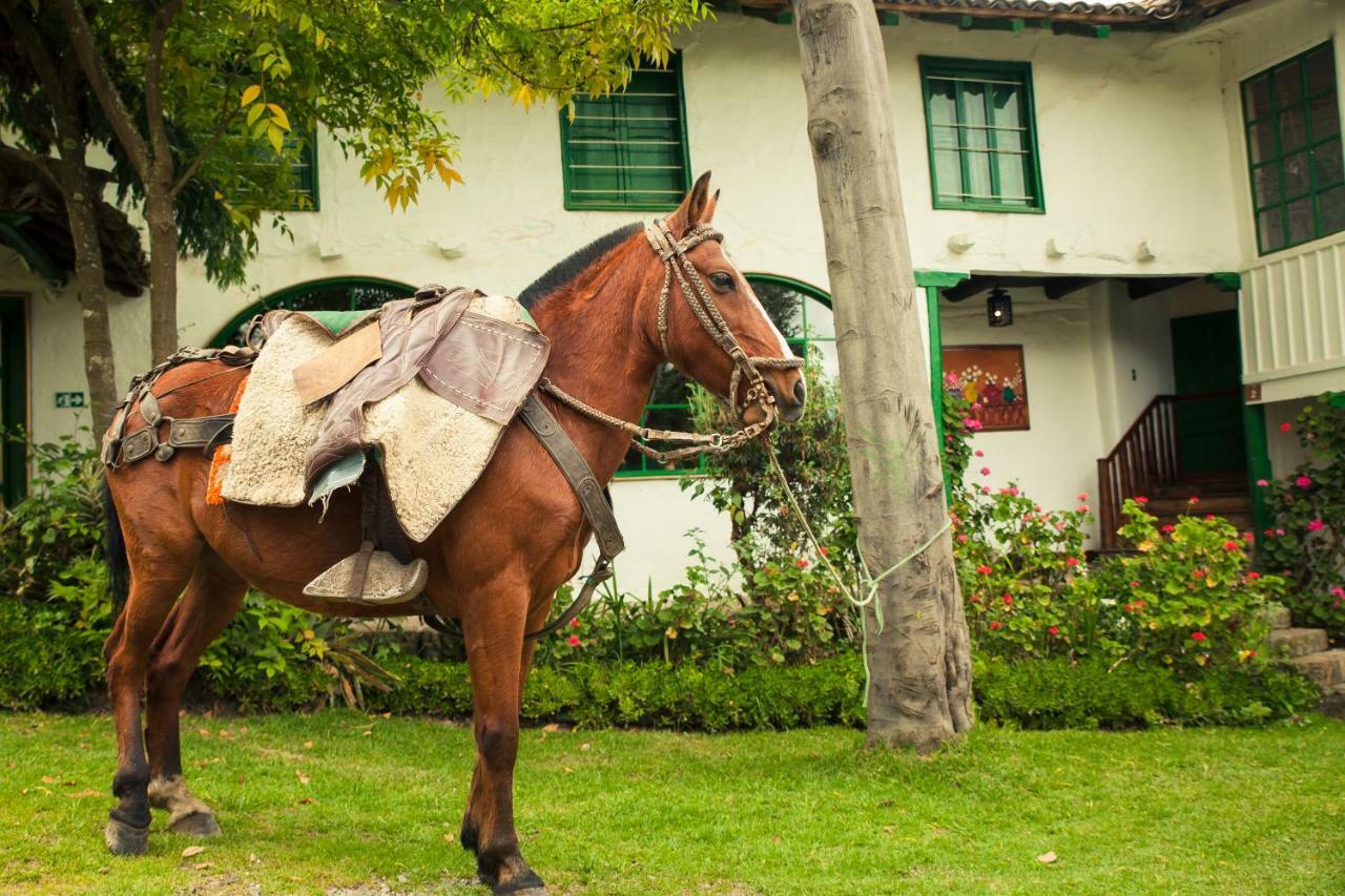 Posada Ingapirca Dış mekan fotoğraf