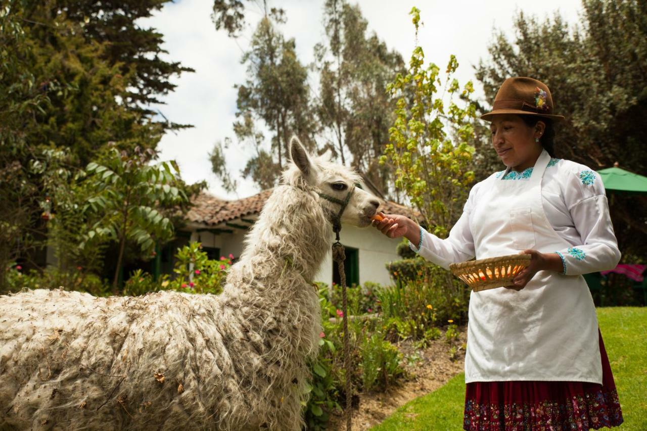 Posada Ingapirca Dış mekan fotoğraf